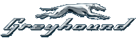 greyhound-logo